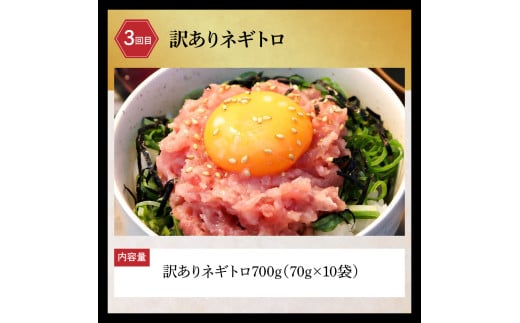 土佐市の人気海鮮返礼品だけを集めた3か月定期便 訳あり鰹