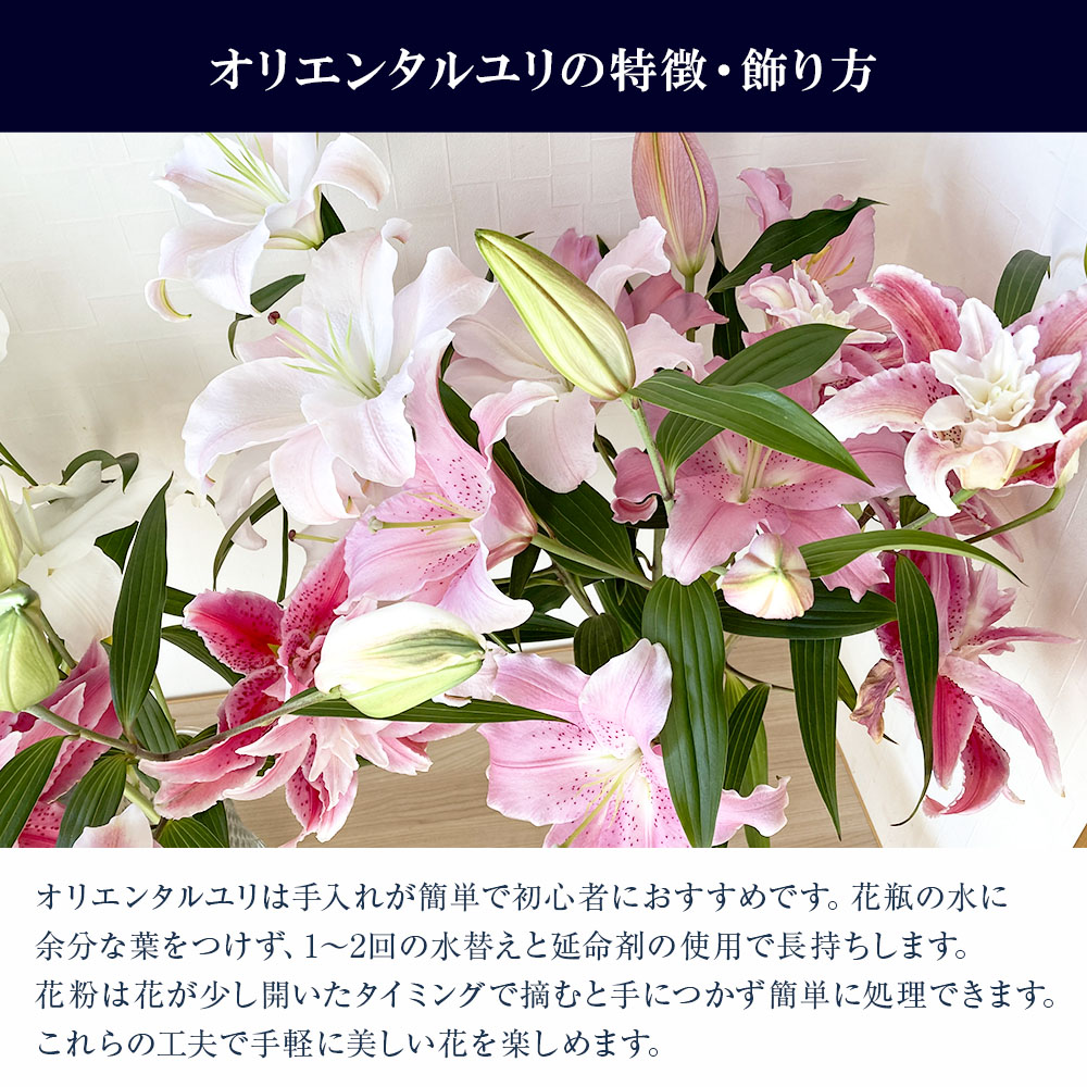 訳あり オリエンタルユリの詰め合わせ 1束(1束4～6本 15輪以