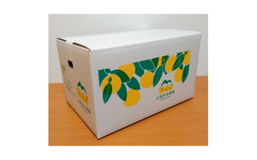 本場、高知県土佐市産！土佐水谷農園の露地土佐文旦3kg 3～