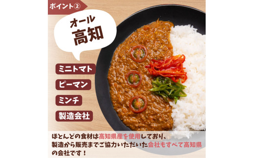 キーマカレー 180g×3個 計540g カレー キーマカレー ご飯 お供