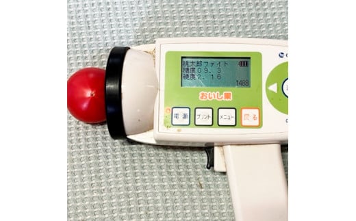 完熟トマト しんちゃんトマト 約1.5kg(750g×2箱) 糖度7.0～8.9度