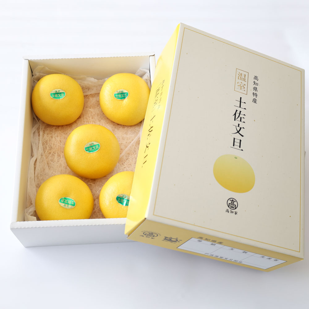 ＜土佐文旦の藤岡＞先行予約　厳選 温室土佐文旦 3kg (5～6