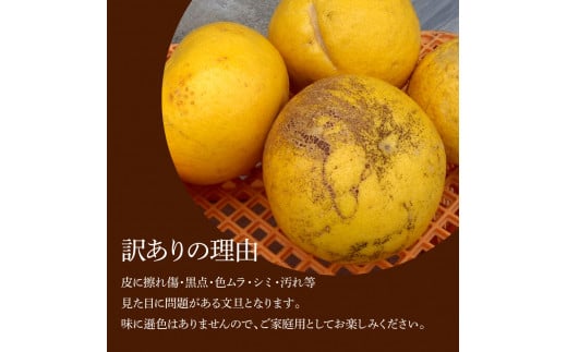 本場、高知県土佐市産！土佐水谷農園の露地土佐文旦 家庭