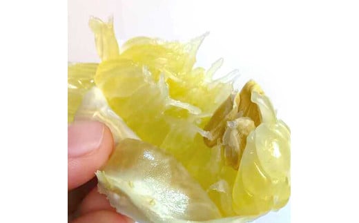 土佐文旦 文旦 訳あり 大玉入り 20kg 20キロ 3L～L ぶんたん ブ