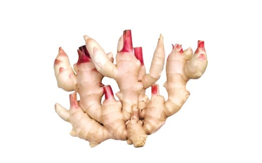 ハウス新生姜 2kg 2キロ しょうが ショウガ 新鮮野菜 野菜 お