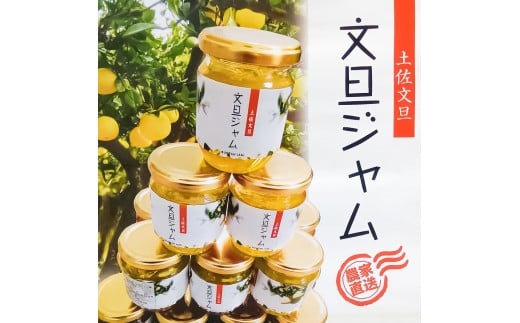 贅沢果肉たっぷり文旦ジャム 土佐文旦 文旦 5瓶 ぶんたん 
