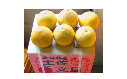 文旦 約5kg 5キロ L～4Lサイズ 