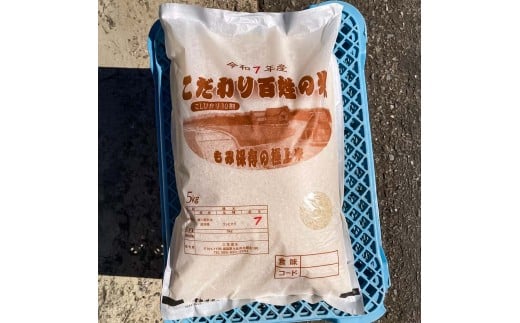 コシヒカリ 令和7年産 10kg 10キロ 精米 白米 お米 ご飯 ごは