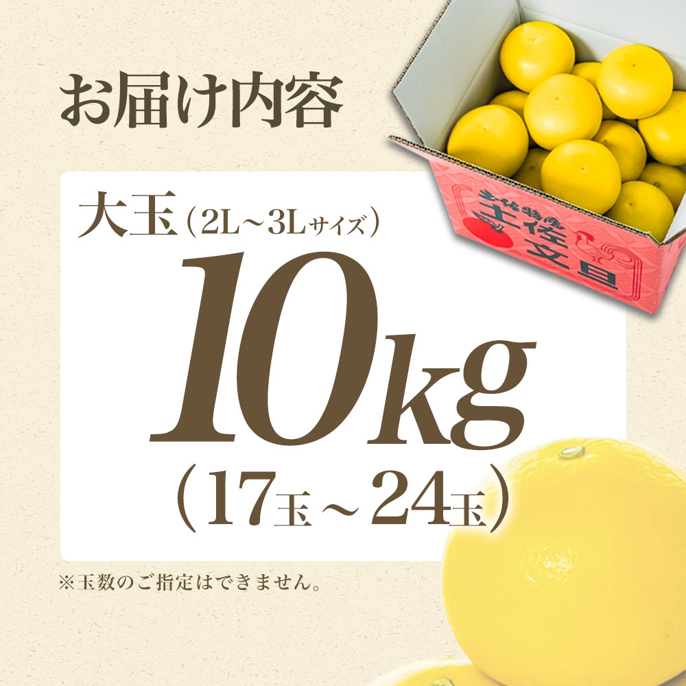 【日本ギフト大賞2024受賞】【先行予約】文旦 大玉10kg（3L～