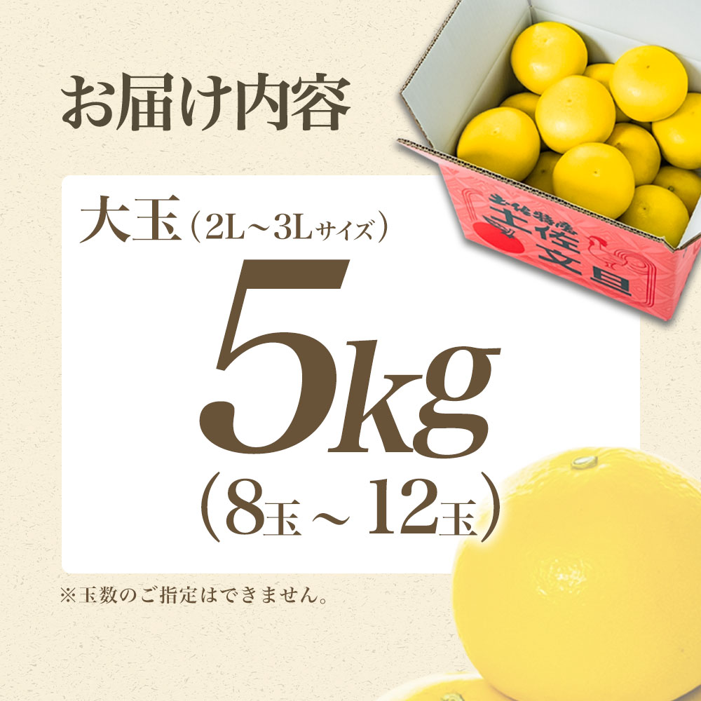 【日本ギフト大賞2024受賞】【先行予約】文旦 大玉5kg（3L～2