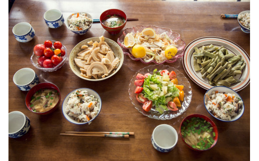 『定期便全12回』栽培期間中に農薬不使用の生姜200gと旬の