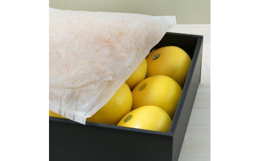 秀品 ☆高知産土佐文旦☆３L８玉入【贈答用】文旦 みかん 