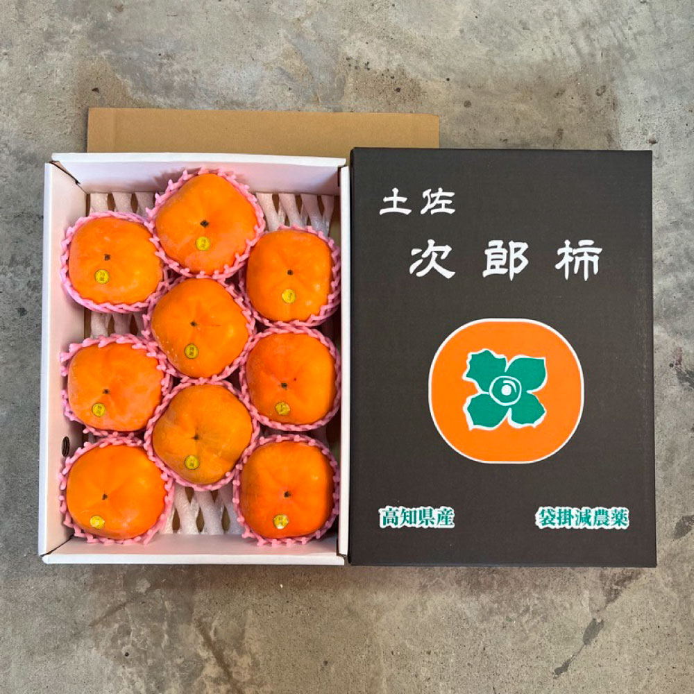 土佐の次郎柿　甘味抜群【贈答用】※10月より順次発送