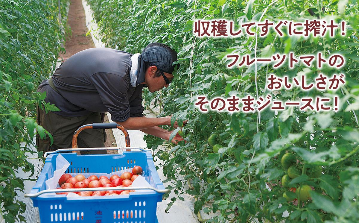 毎日フルトマ（ホワイト）30本セット 100ml × 30本入 1本に約5