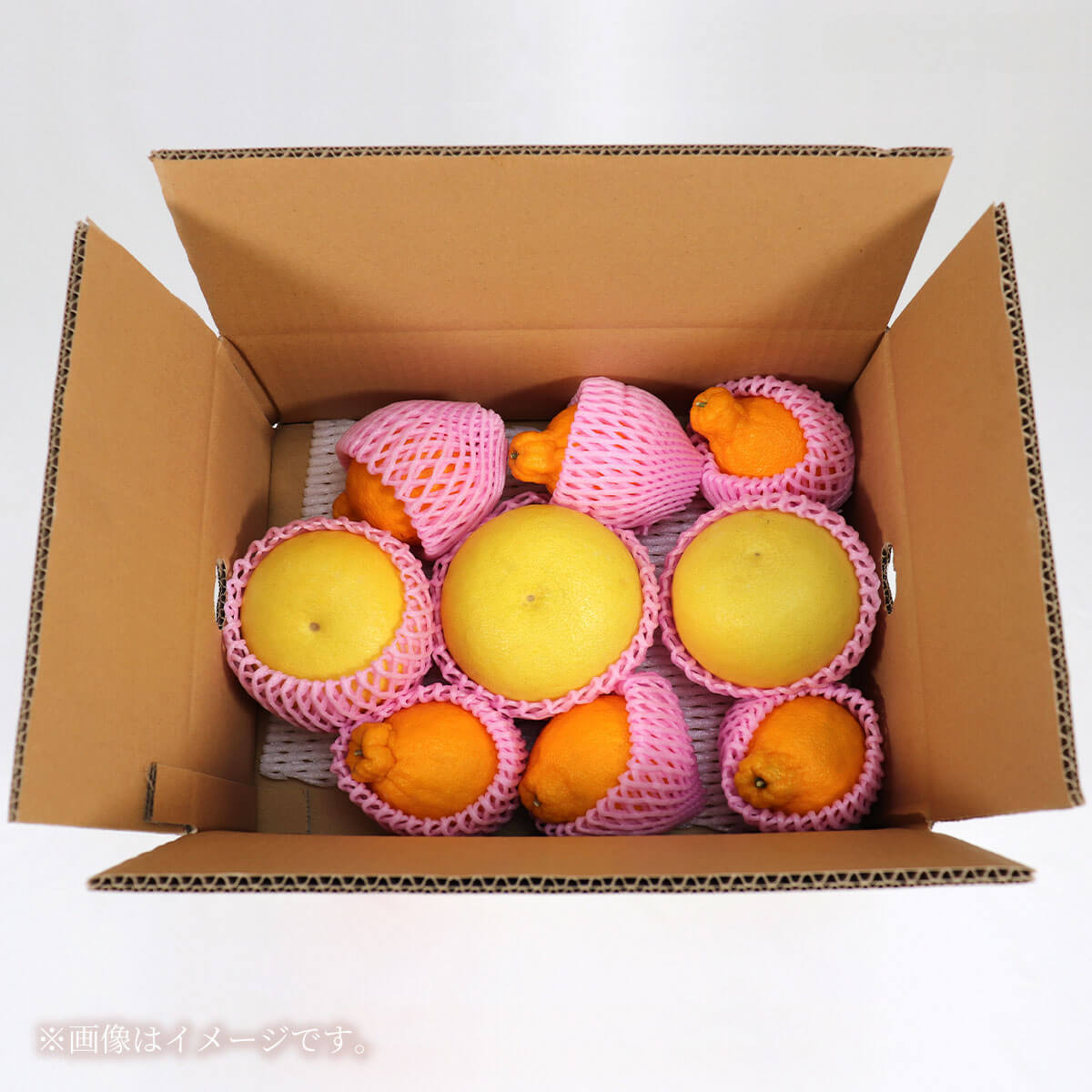 土佐文旦と温室不知火(シラヌイ)の詰め合わせ 約3kg セット 