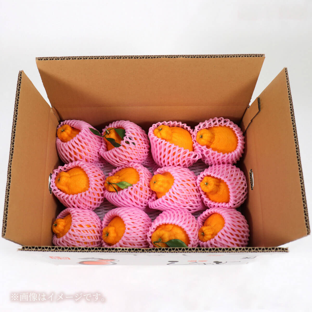 土佐の温室不知火（しらぬい）約3kg みかん 柑橘 フルーツ 