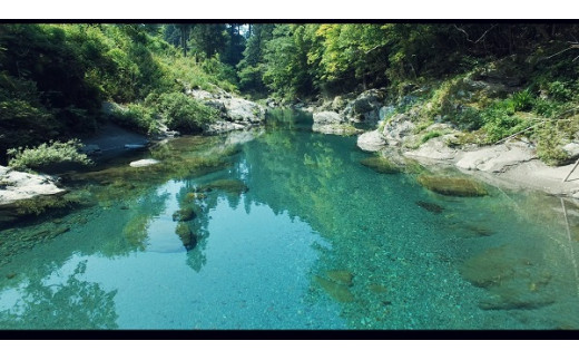 【土佐野菜】旬の野菜の詰め合わせと栽培期間中に農薬不