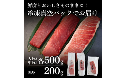 本鮪　大トロ・中トロ　各500ｇ・赤身200ｇ　まぐろ3種盛セ