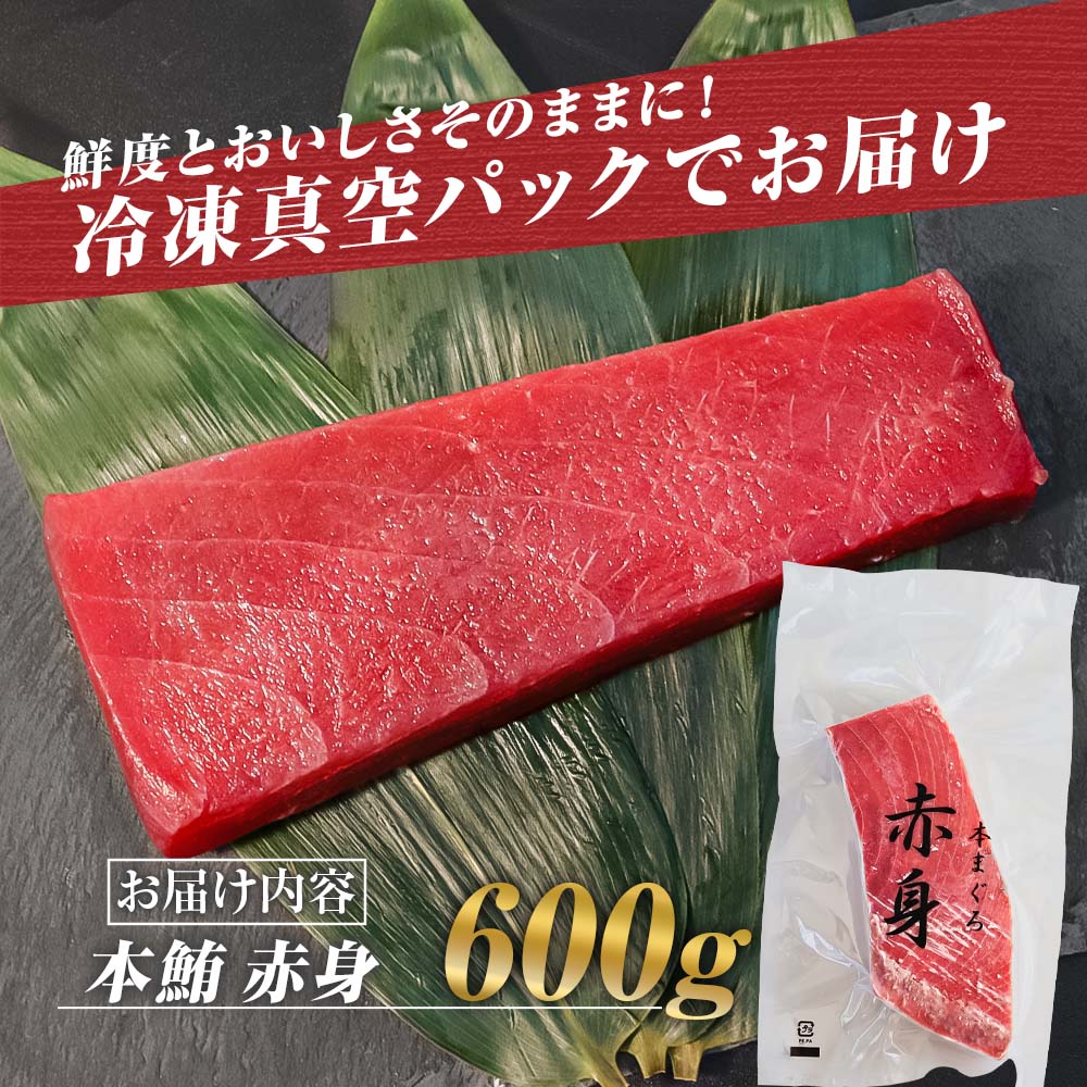 本鮪 赤身 600g 