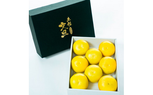 【日本ギフト大賞2024受賞】園主こだわり土佐文旦【化粧箱