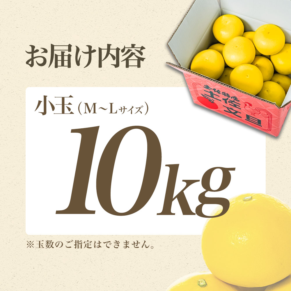 【日本ギフト大賞2024受賞】【先行予約】文旦 小玉 10kg（L～