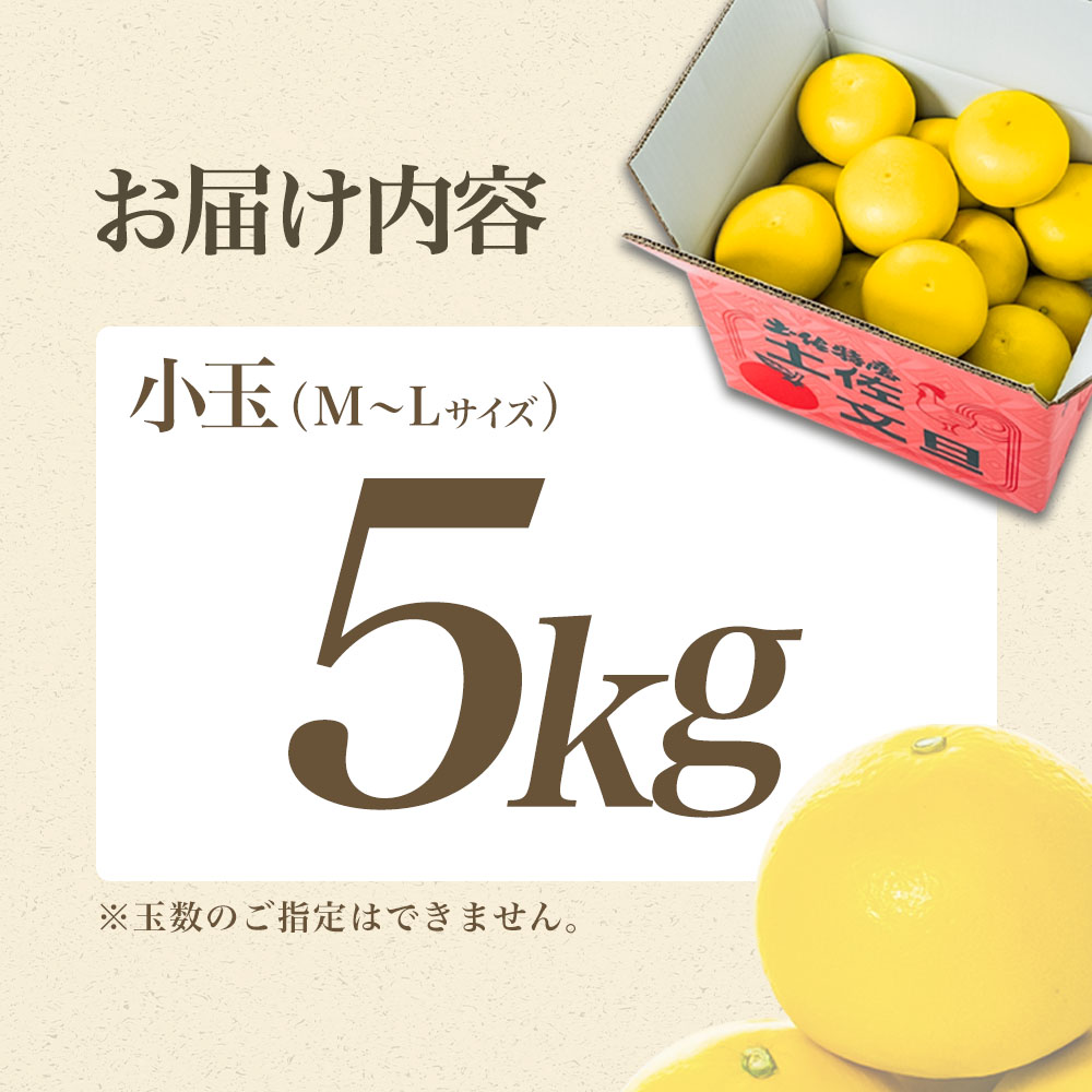 【日本ギフト大賞2024受賞】【先行予約】文旦 小玉 5kg（L～M