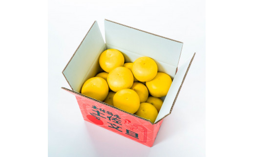 〈3回定期便〉園主こだわりの土佐文旦 10キロ（18 - 24玉） 2