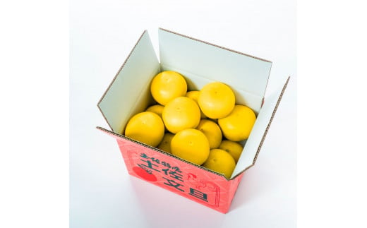 【日本ギフト大賞2024受賞】先行予約 園主こだわりの土佐文