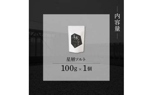 銀象ソルト Ginzo-Salt 星屑ソルト 100g 