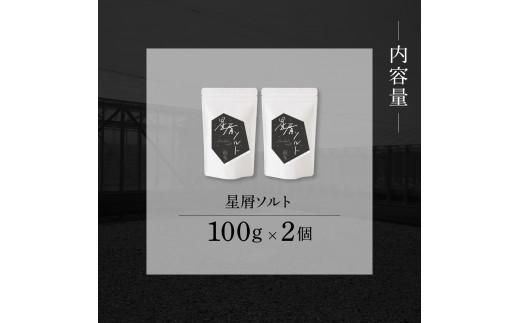 銀象ソルト Ginzo-Salt 星屑ソルト 100g×２個セット 合計200g 