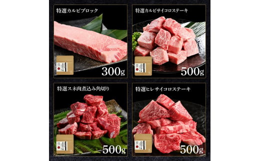 土佐和牛詰め合わせ8種Aセット 長期熟成肉 8種 詰め合わせ 