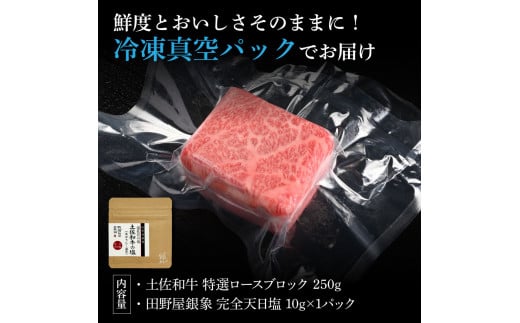 土佐和牛 特選ロースブロック250g 田野屋銀象完全天日塩1P付
