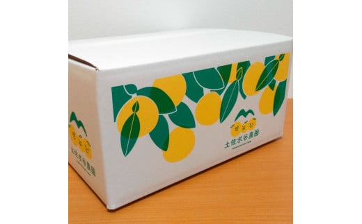 土佐水谷農園の露地土佐文旦 家庭用約3キロ 3kg 大小混合 ぶ