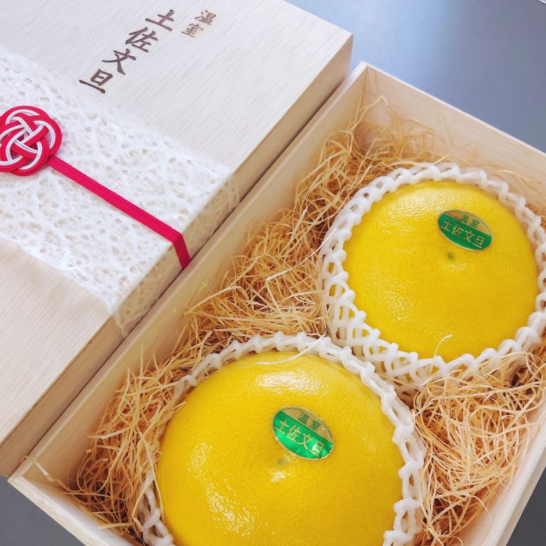 厳選 温室土佐文旦 贈答用木箱入り 大玉 2玉 約600g×2個 ぶん