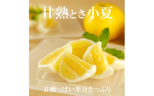 甘熟とさ小夏 約5kg 2S～2L こなつ コナツ 果物 フルーツ 柑橘