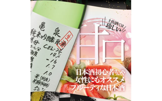 純米吟醸生原酒 CEL-24 1800ml 1.8l 生酒 毎月1本×3回 定期便 お