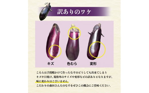 森田さんちの土佐市産お竜なす 訳あり 約1.5kg 1.5キロ 16～21