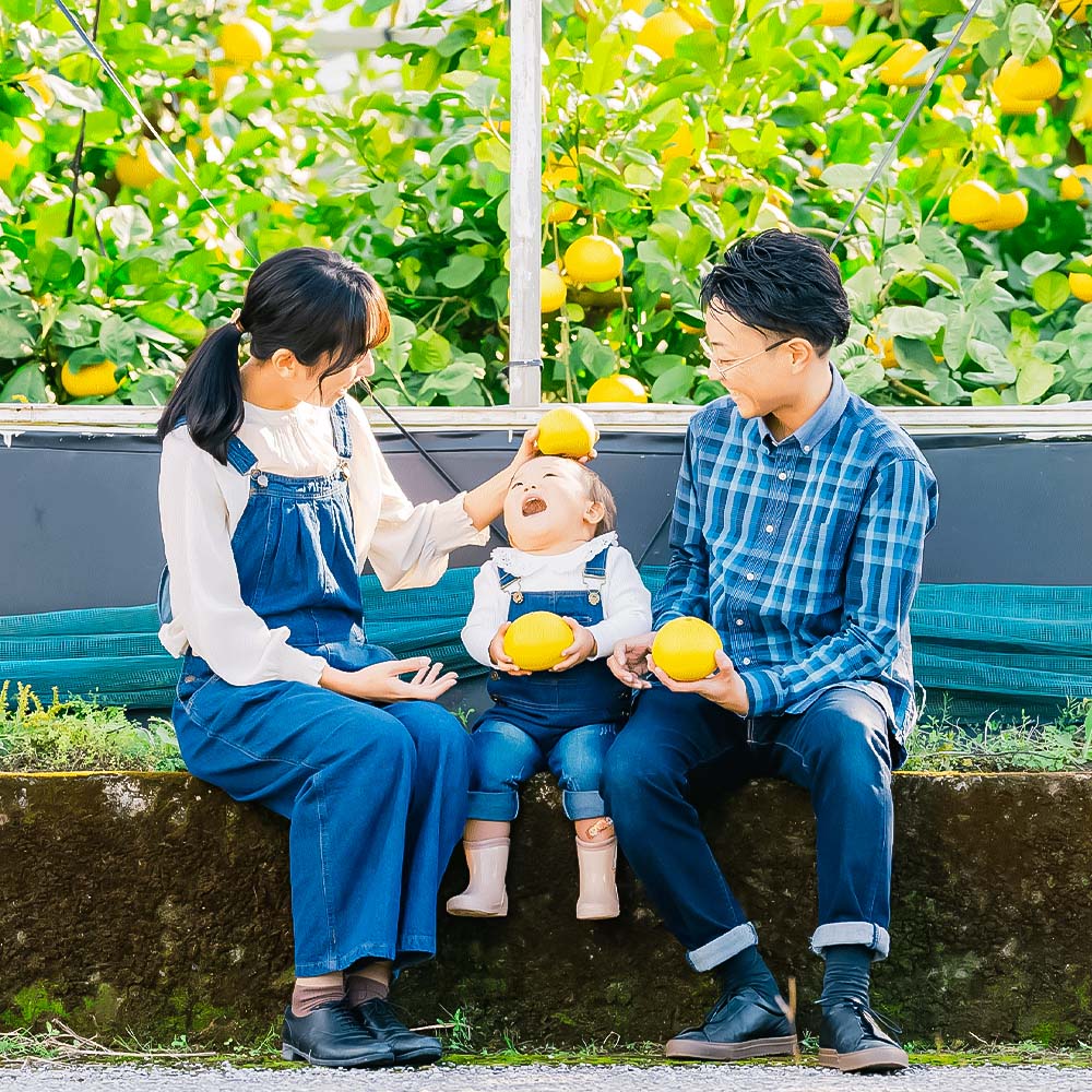 温室土佐文旦 ブンタン ぶんたん 特選 約3kg 約3キロ 5～6個 2