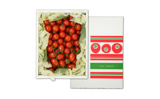 訳あり 赤いミニトマトの宝石箱 約1キロ 約1kg トマト とま