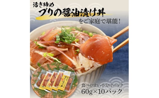 活き締めブリの醤油漬け丼 10パックセット 鰤 ぶり 漬け丼 