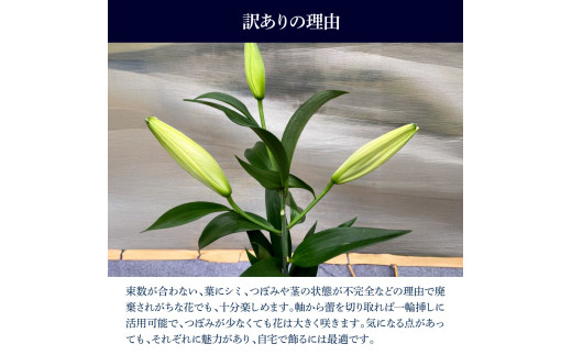 訳あり オリエンタルユリの詰め合わせ 2束(1束4～6本 15輪以