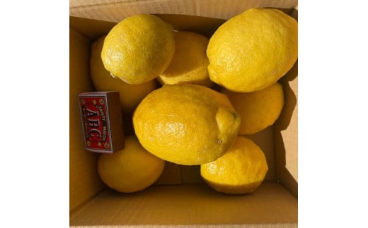 自然栽培レモン5kg 5キロ レモン 檸檬 れもん 自然栽培 無農