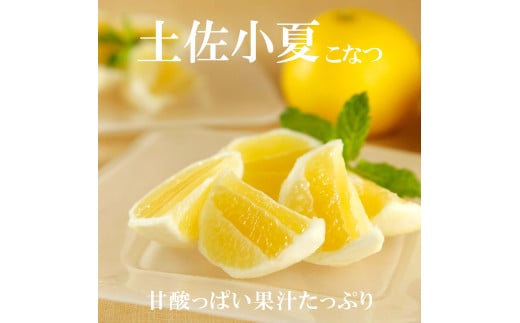 ＜果樹園直送＞土佐小夏 特選品贈答用 約3kg 3キロ こなつ 