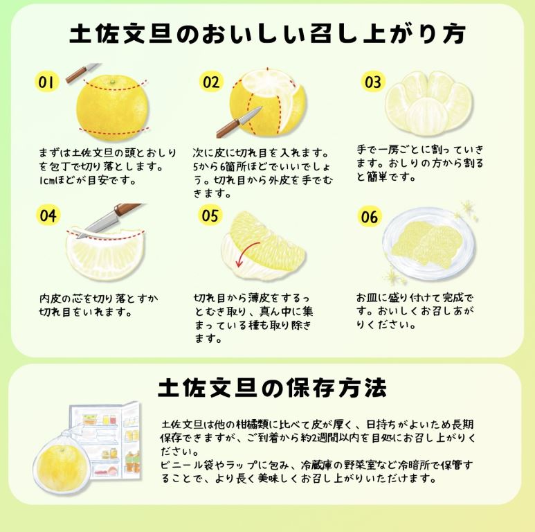 ＜土佐文旦の藤岡＞先行予約　厳選 温室土佐文旦 5kg (7～8