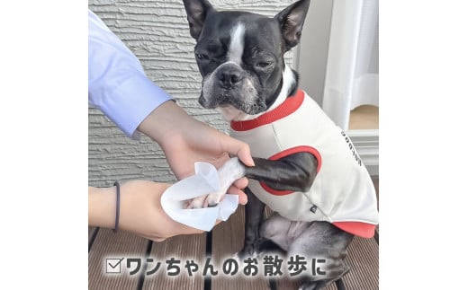 SUITTOロール mini 5個入り 1個240枚 クッキングペーパー クッキ