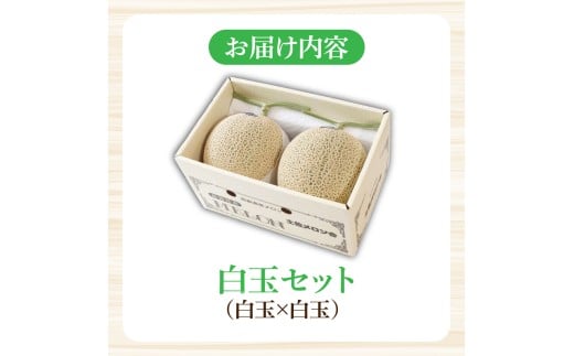 高級土佐アールスメロン2玉入り メロン めろん 白玉セット 