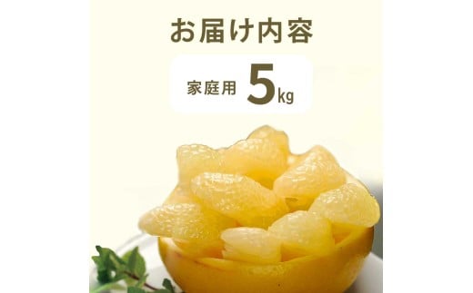 文旦 約5kg 5キロ L～4Lサイズ 