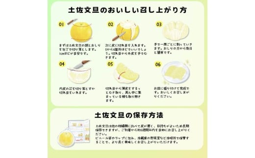 ＜土佐文旦の藤岡＞訳あり 温室土佐文旦 家庭用 5kg (8～12玉