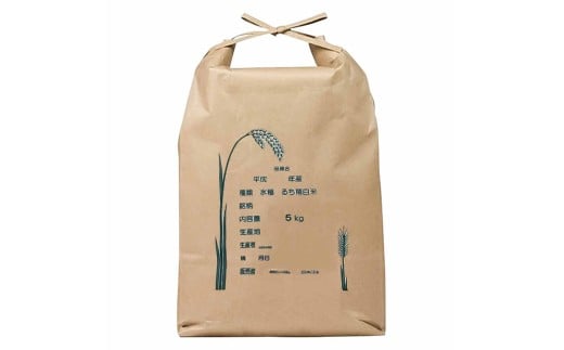 コシヒカリ 10kg 10キロ 精米 白米 お米 ご飯 ごはん 米 kome こ