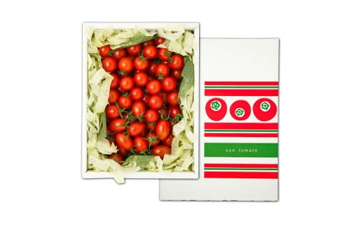 訳あり 赤いミニトマトの宝石箱 約1kg 約1キロ 3回定期便 ト